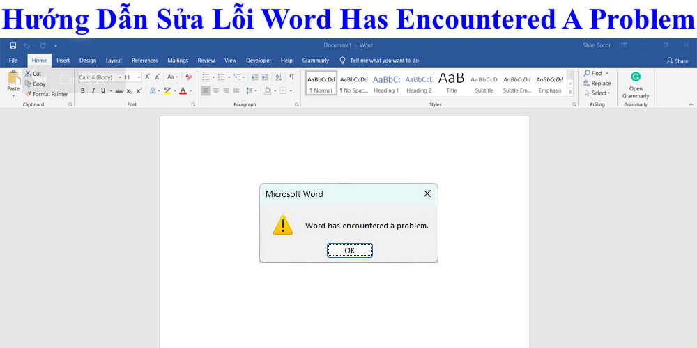 Hướng Dẫn Sửa Lỗi Word Has Encountered A Problem