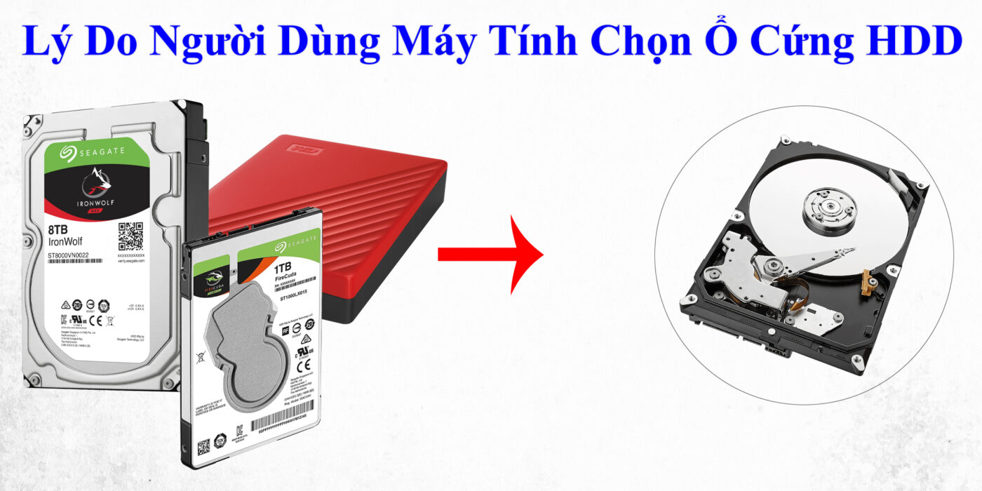 Lý Do Người Dùng Máy Tính Chọn Ổ Cứng HDD
