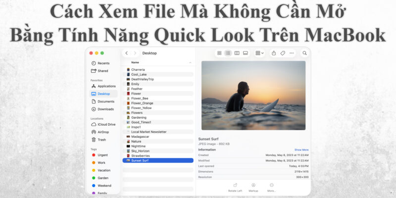 Cách Xem File Mà Không Cần Mở Bằng Tính Năng Quick Look Trên MacBook