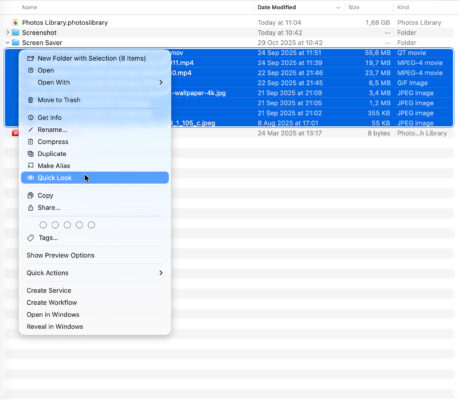 Điều Khiển Trong Quick Look