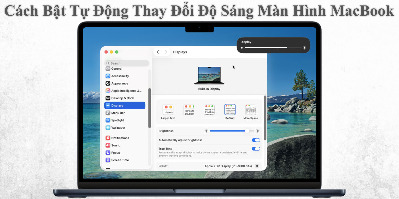 Cách Bật Tự Động Thay Đổi Độ Sáng Màn Hình MacBook
