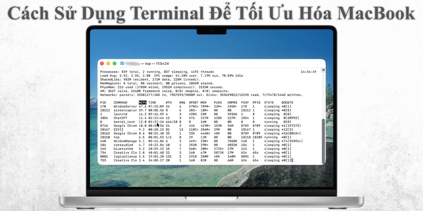 Cách Sử Dụng Terminal Để Tối Ưu Hóa MacBook
