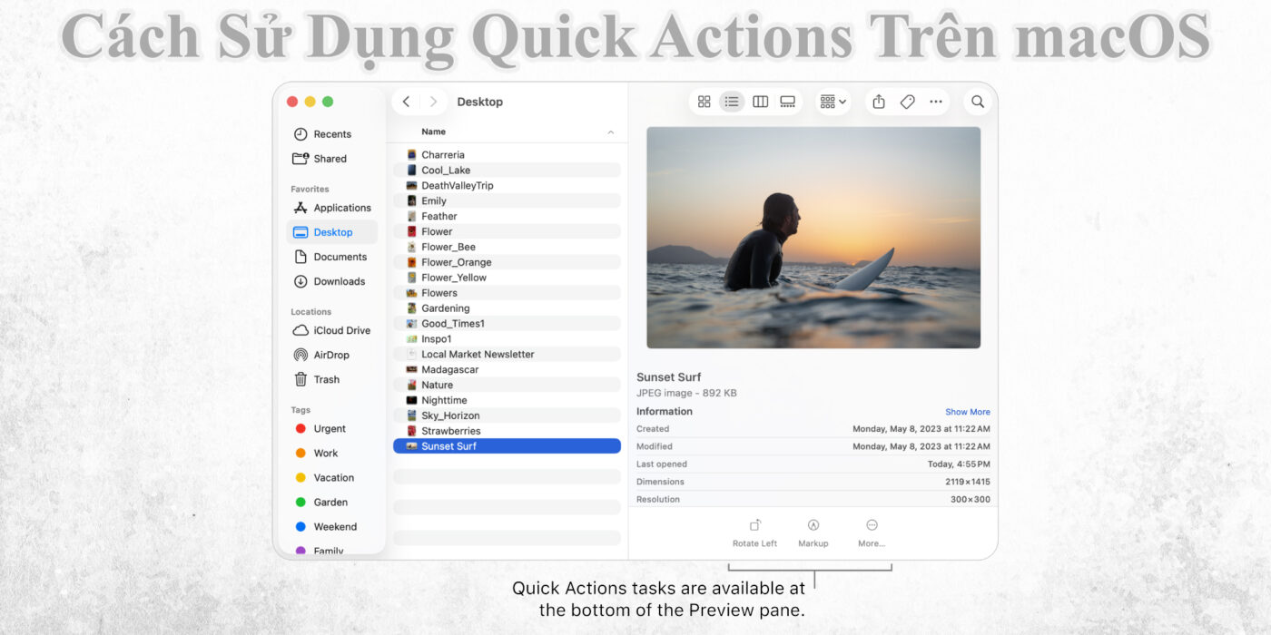Cách Sử Dụng Quick Actions Trên macOS