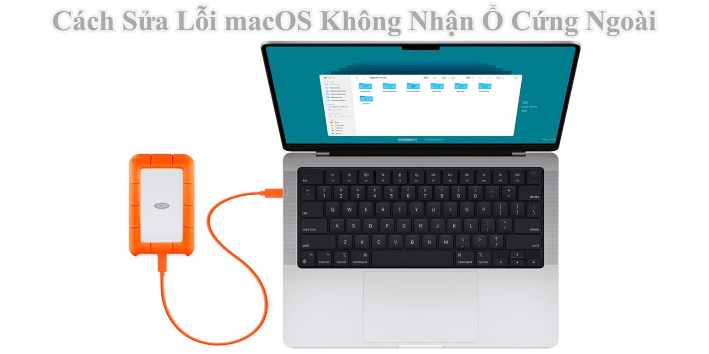 Cách Sửa Lỗi macOS Không Nhận Ổ Cứng Ngoài