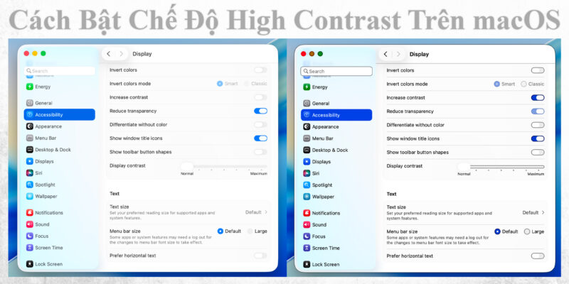 Cách Bật Chế Độ High Contrast Trên macOS
