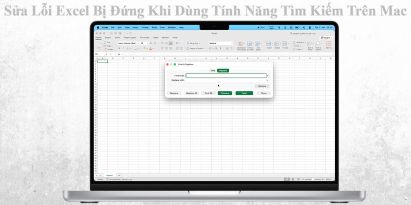 Sửa Lỗi Excel Bị Đứng Khi Dùng Tính Năng Tìm Kiếm Trên Mac