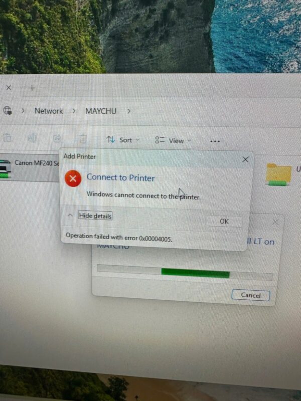 Error 0x00004005