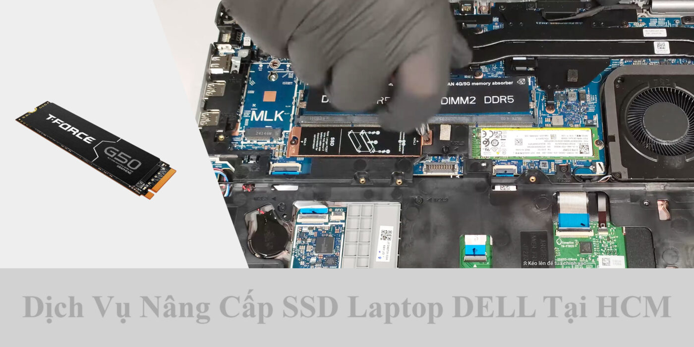 Dịch Vụ Nâng Cấp SSD Laptop DELL Tại HCM 1 Dịch Vụ Nâng Cấp SSD Laptop DELL Tại HCM